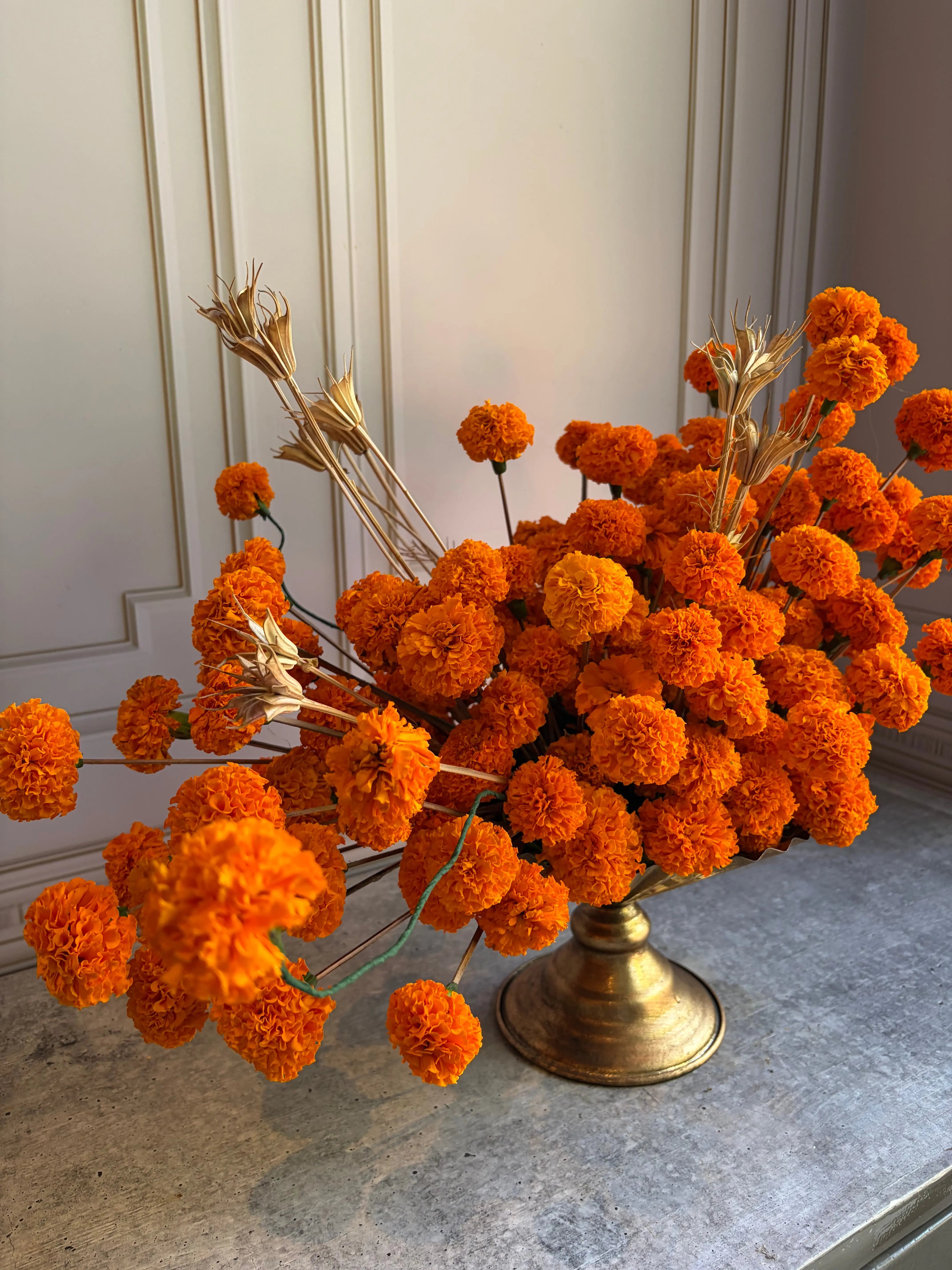 Sunburst 1magnolialane