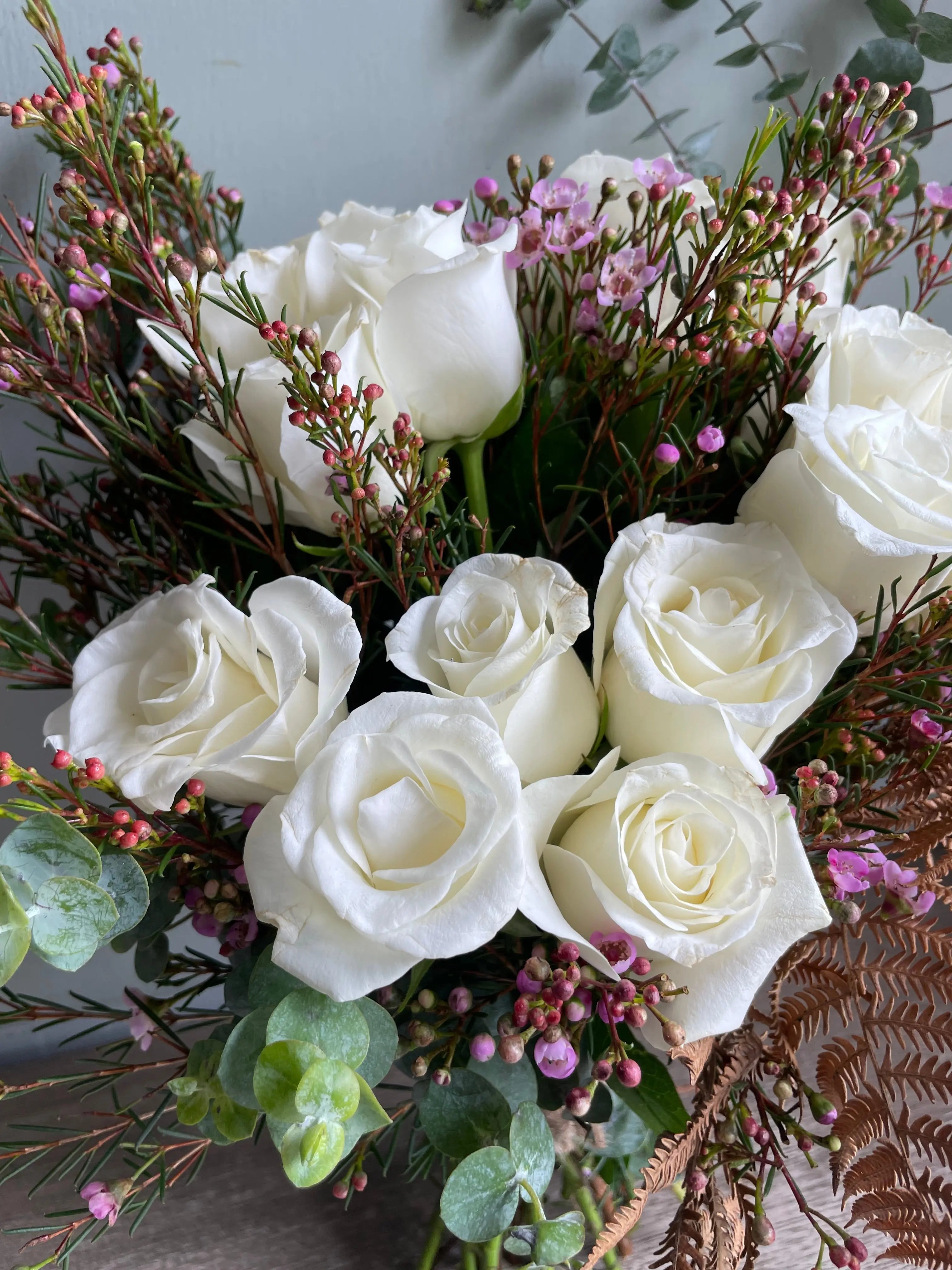 Bello 1magnolialane