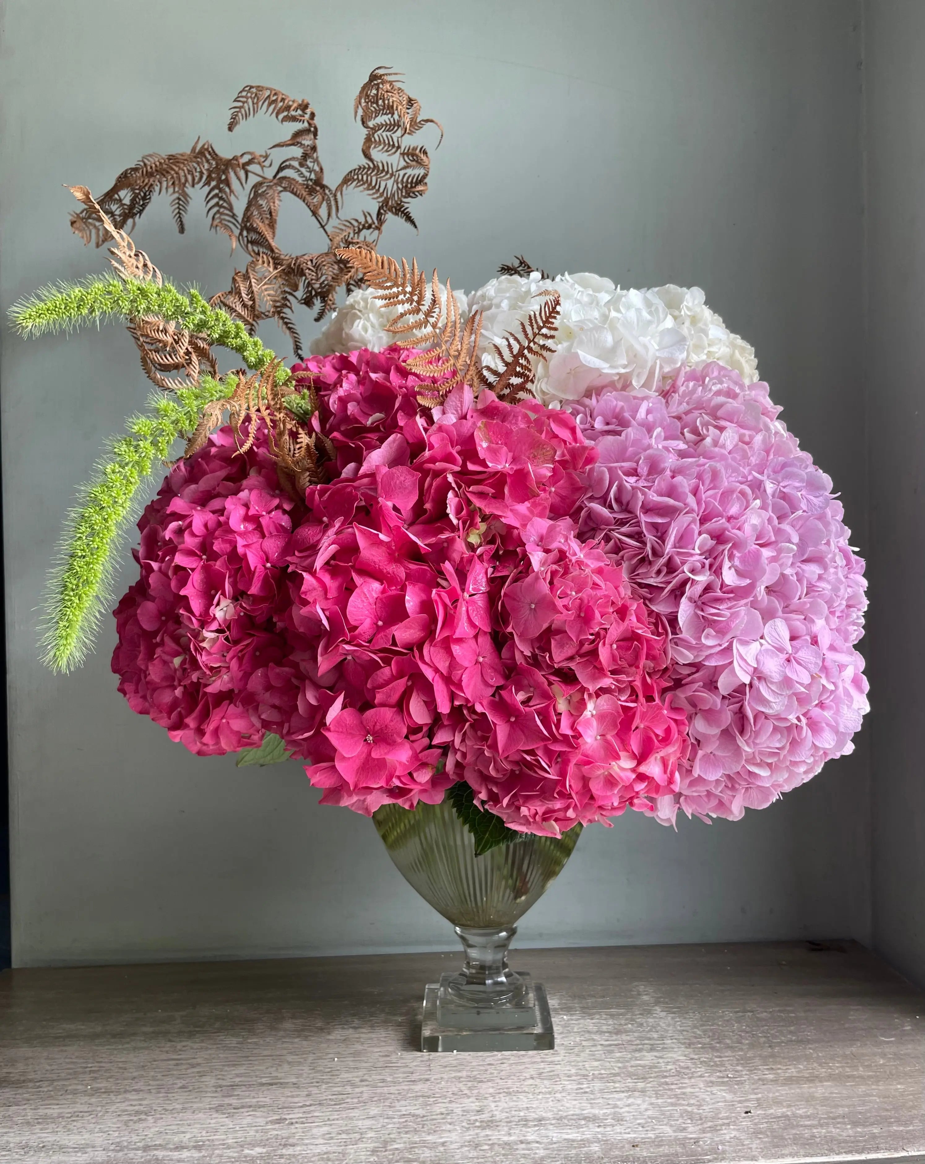 Afreen 1magnolialane