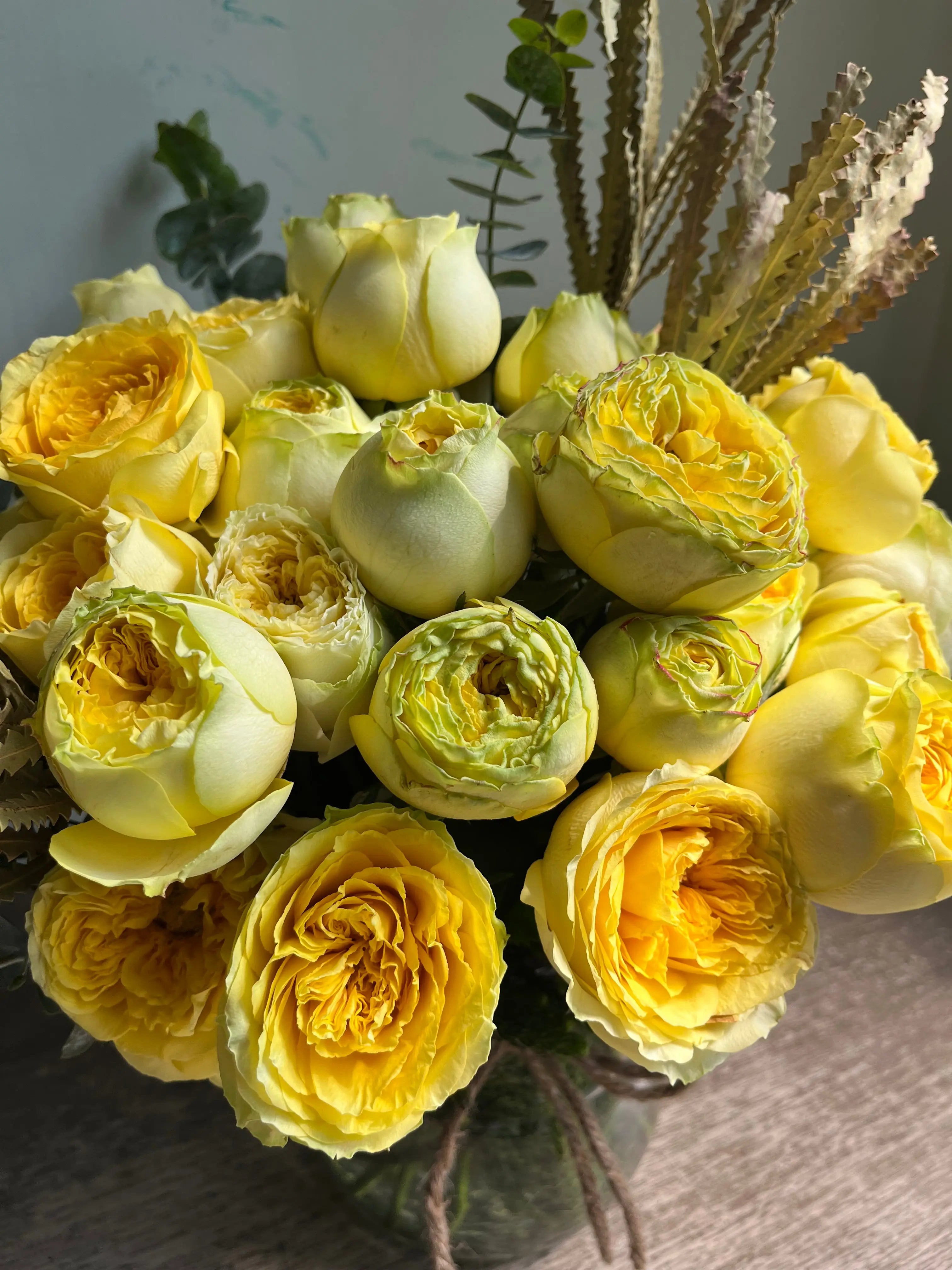 Life Energy 1magnolialane