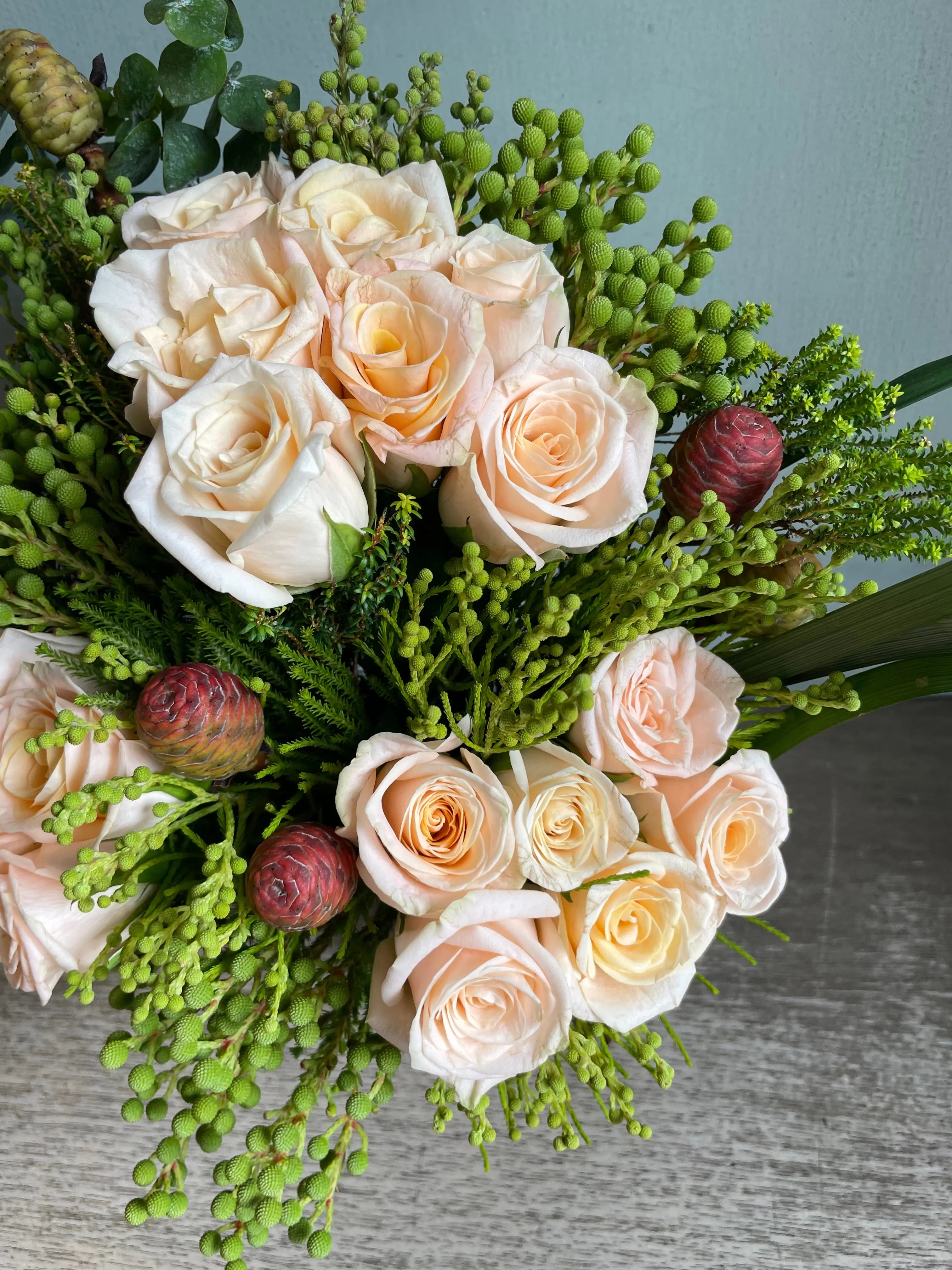 Effervescent 1magnolialane