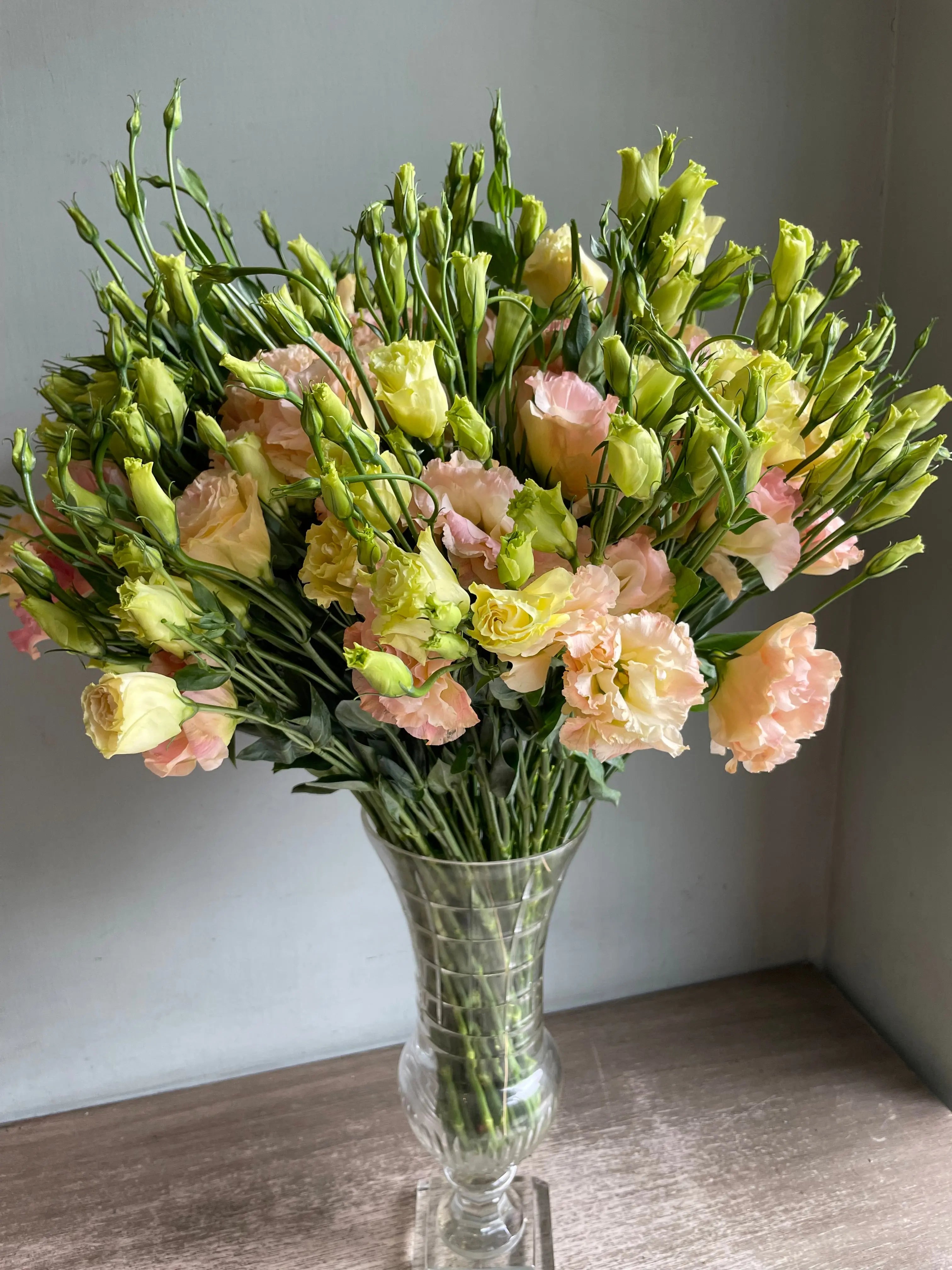 Champers 1magnolialane