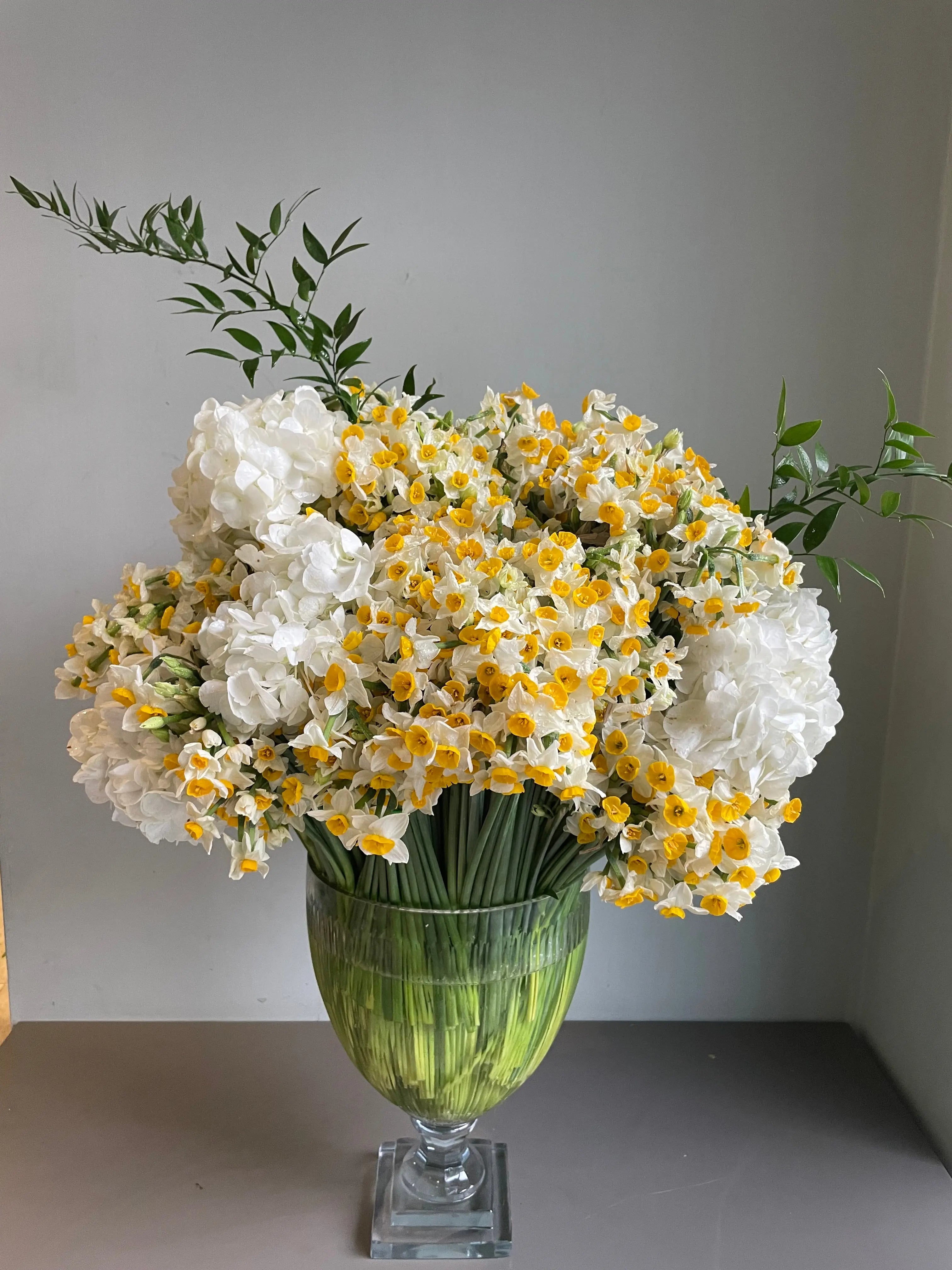 Nargis Poetry 1magnolialane