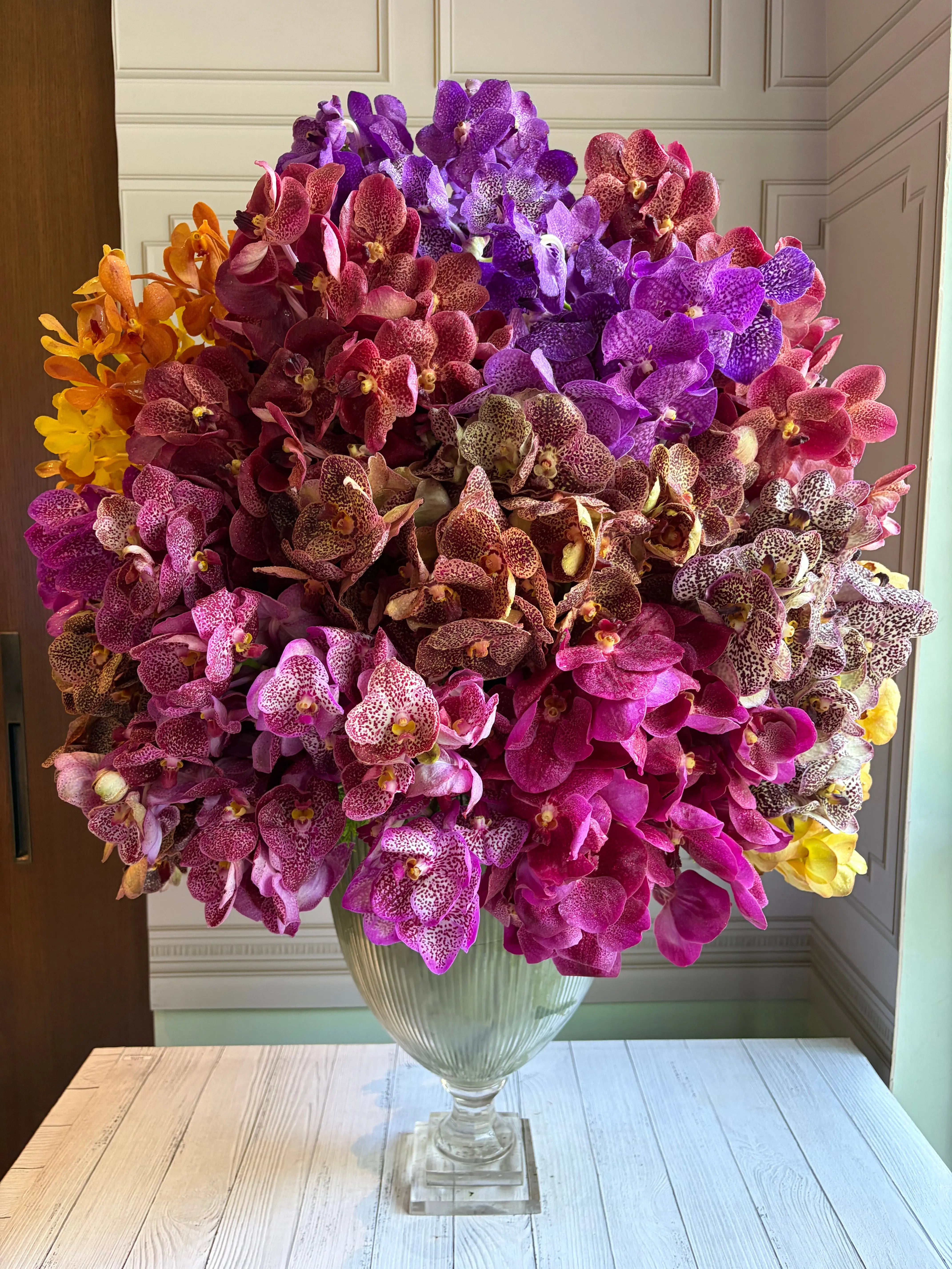 Aanandi 1magnolialane