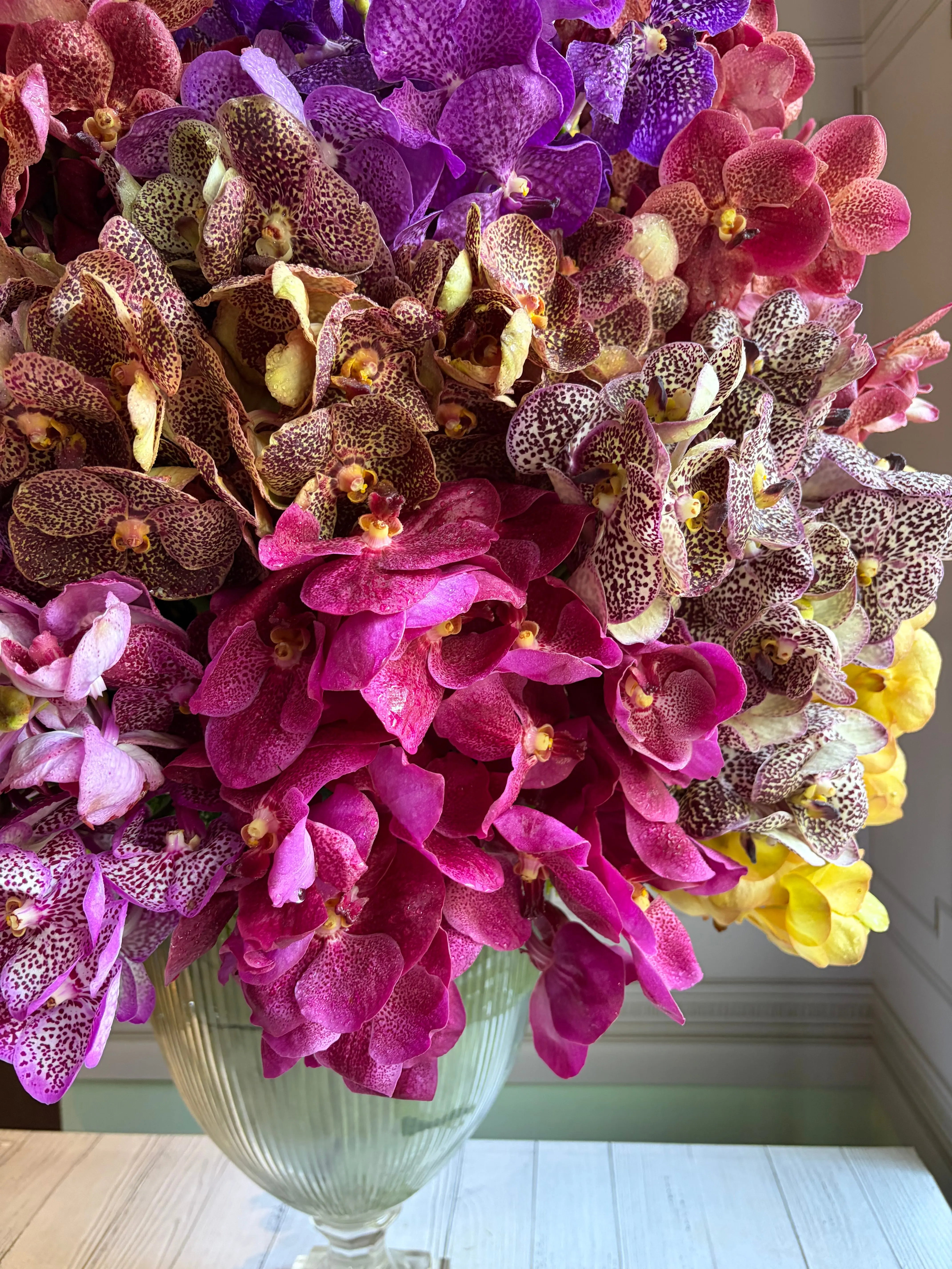 Aanandi 1magnolialane