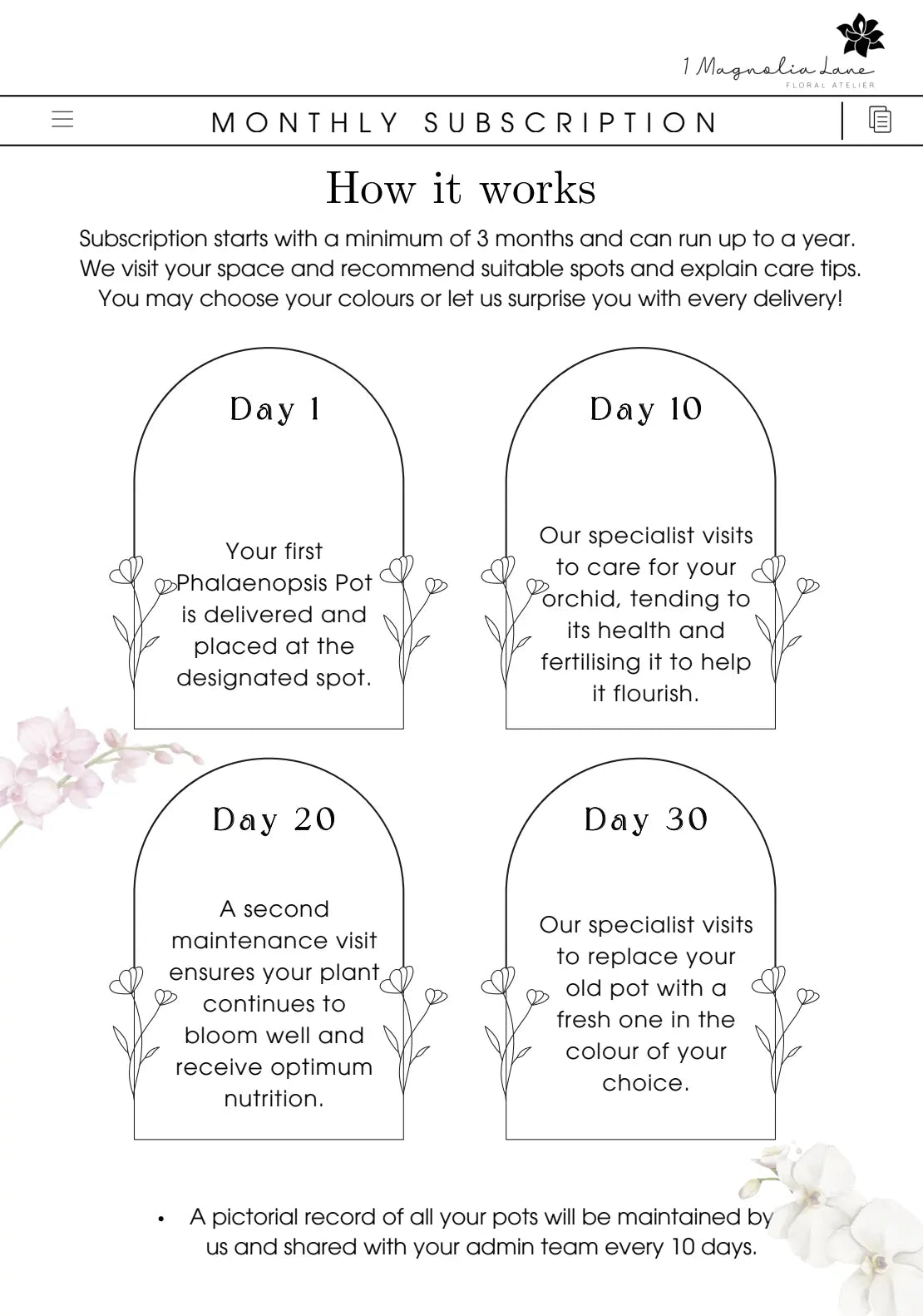 Phalaenopsis Orchid Pots - Subscription 1magnolialane