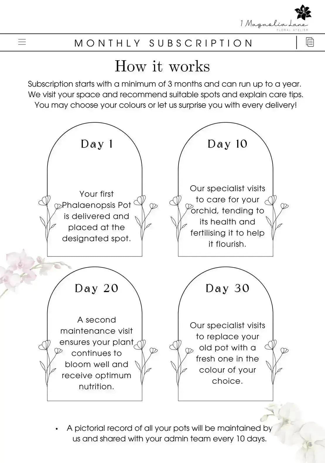 Phalaenopsis Orchid Pots - Subscription 1magnolialane