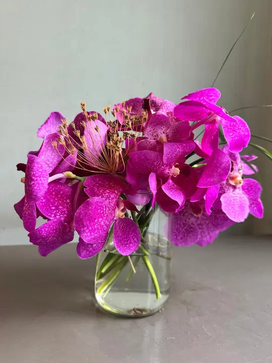 Ms. Monroe 1magnolialane