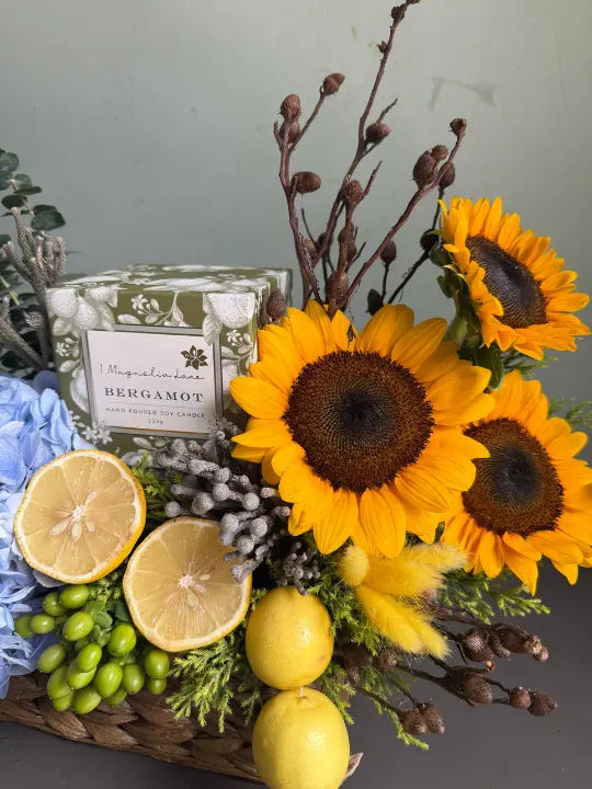 Azure Sun 1magnolialane