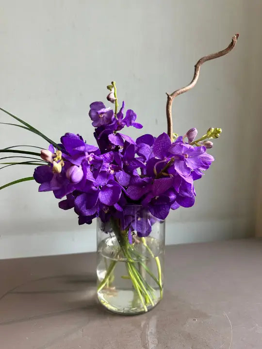 Crown Chakra 1magnolialane