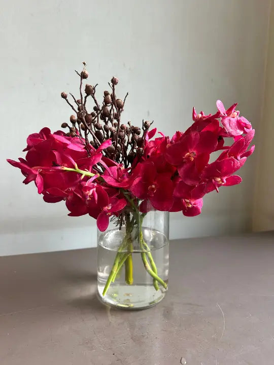 Brave New World 1magnolialane