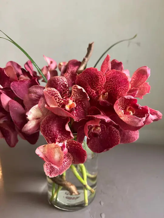 Fire 1magnolialane