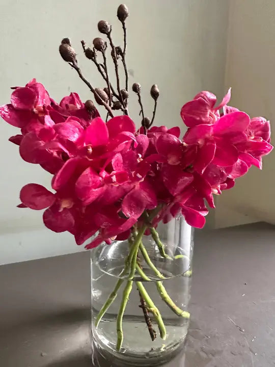 Brave New World 1magnolialane