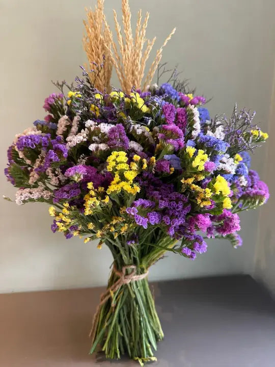 Statice Mania 1magnolialane