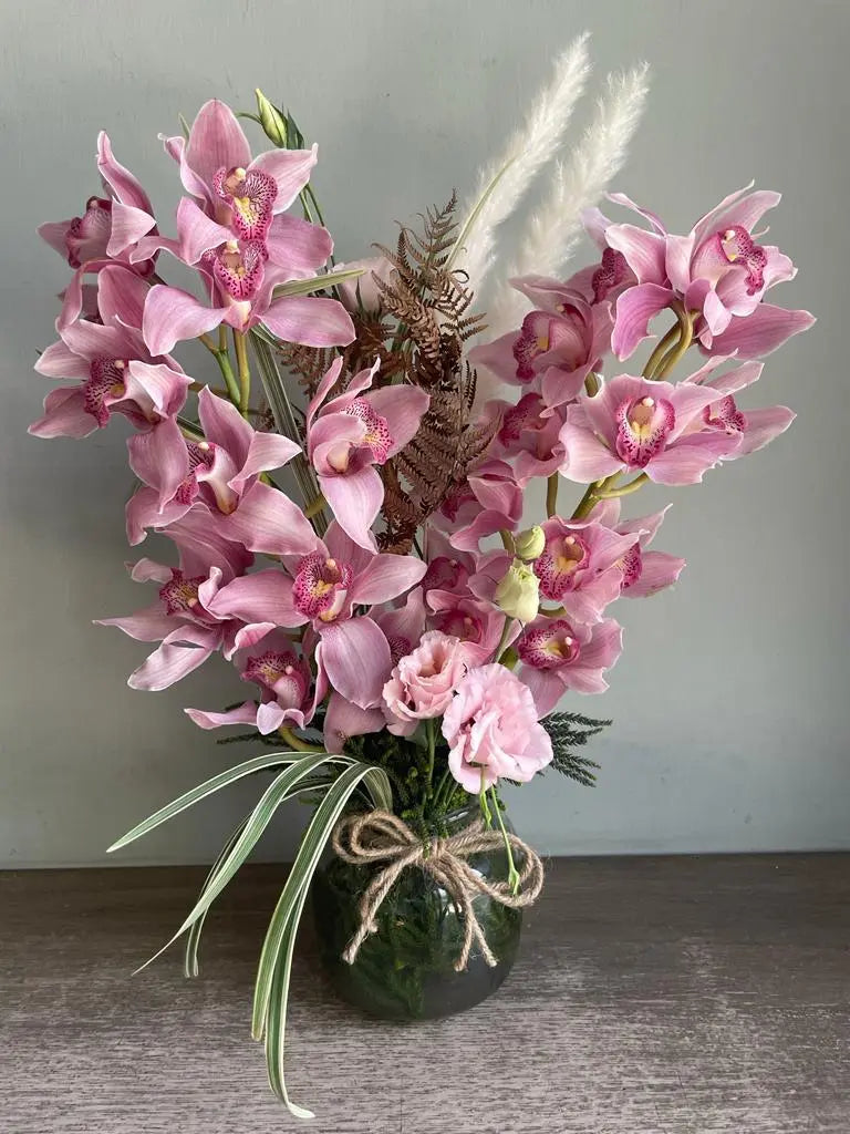 Orchid Dreams 1magnolialane