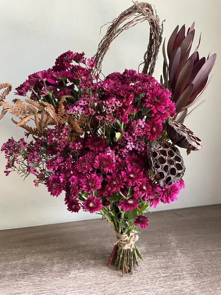 Eye Candy 1magnolialane