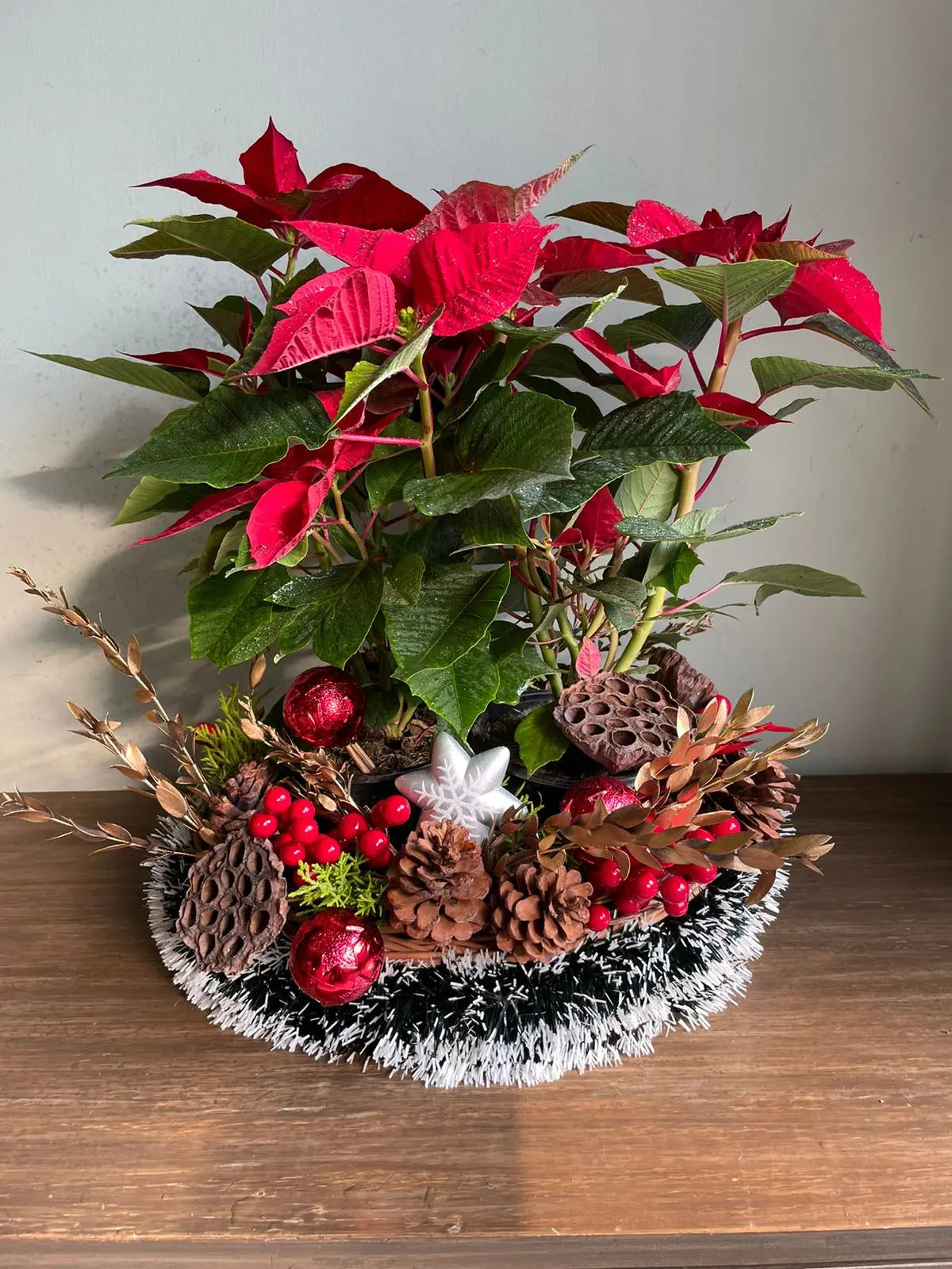 Santa’s sack full ‘o flowers 1magnolialane