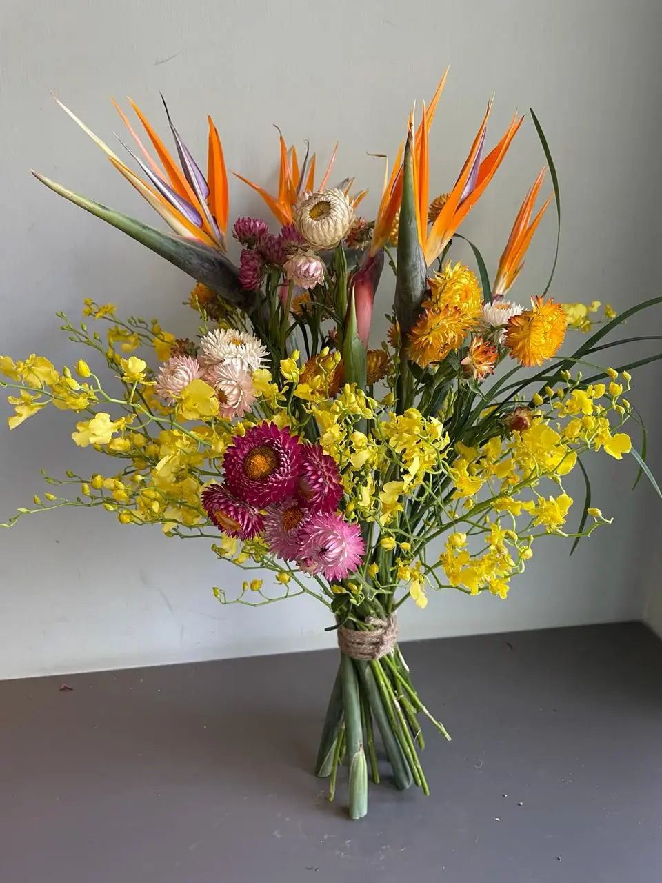 Jazz-a-gals 1magnolialane