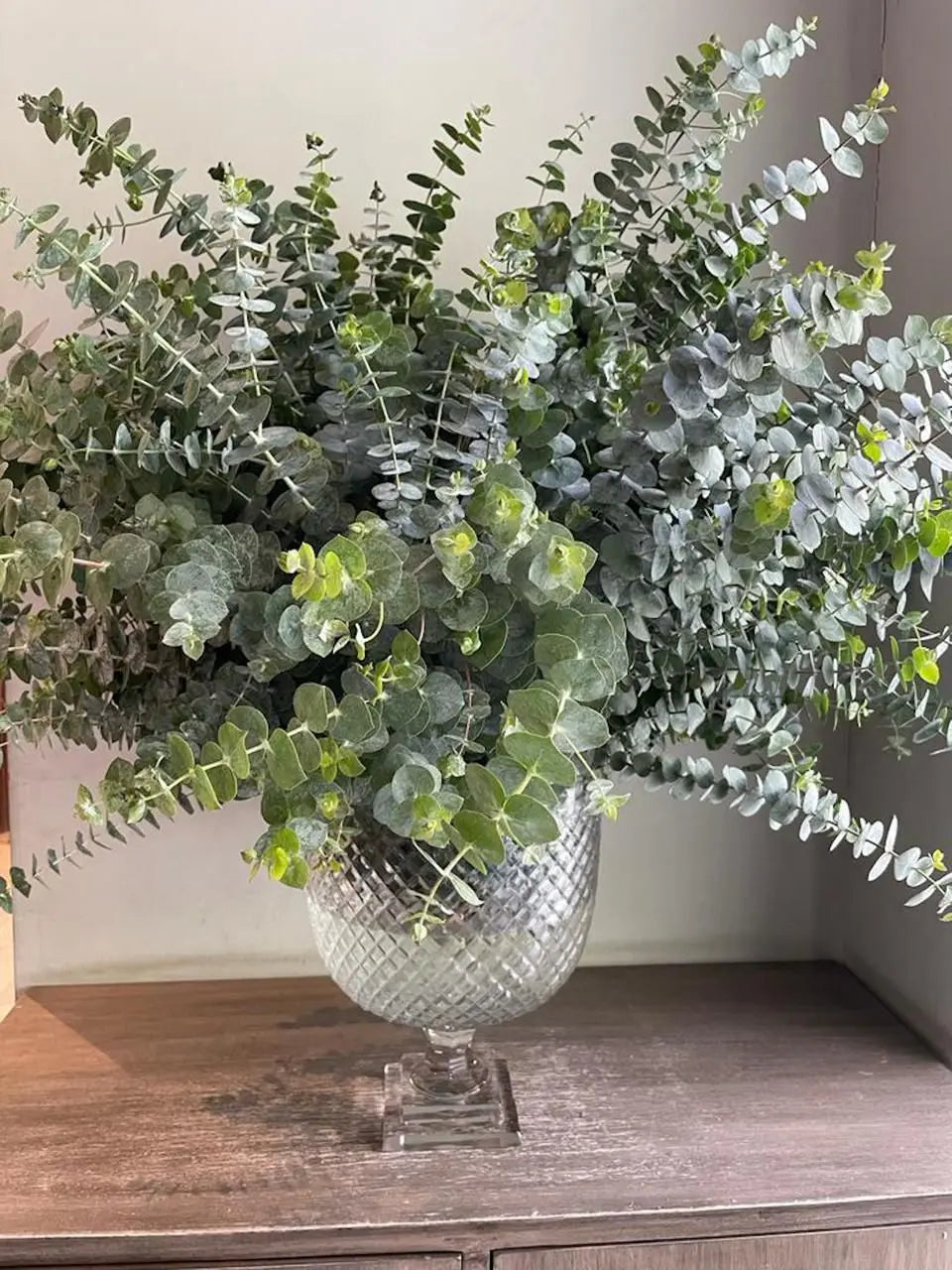 Eucalyptian Dreams 1magnolialane