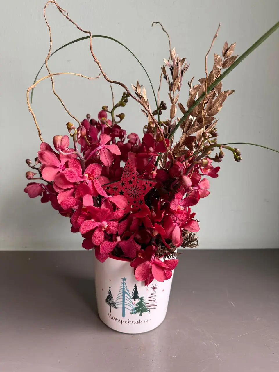 Star Struck Orchids 1magnolialane