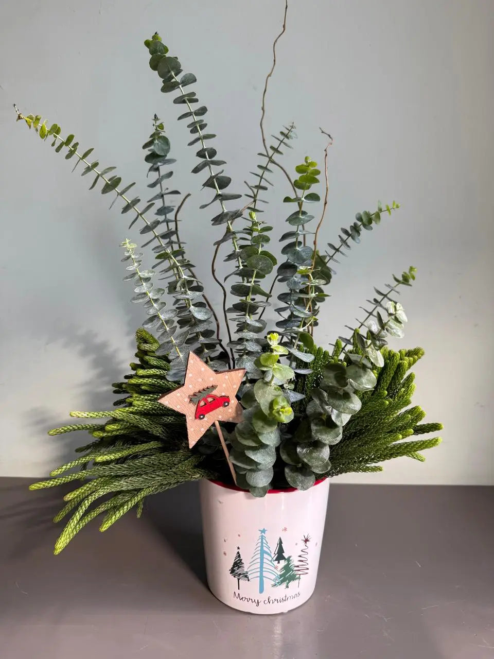 Wintergreen Darling 1magnolialane