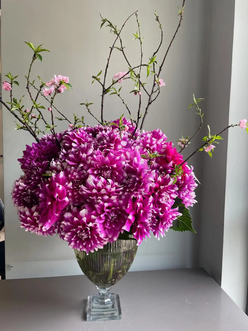 Dahlia Blossoms 1magnolialane