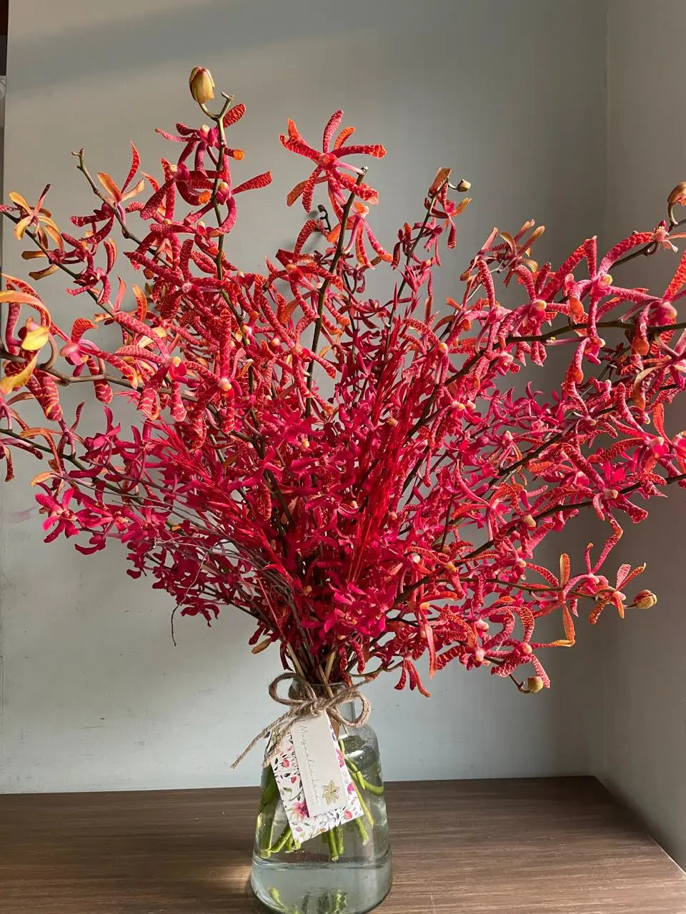 Springing To Action: Fiery Red Orchids in Art Vase