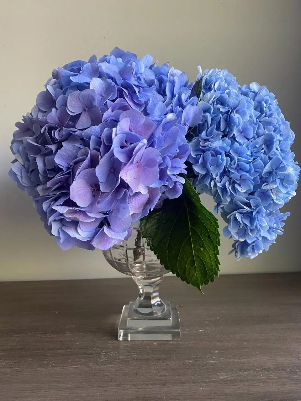 50 Shades of Blue 1magnolialane