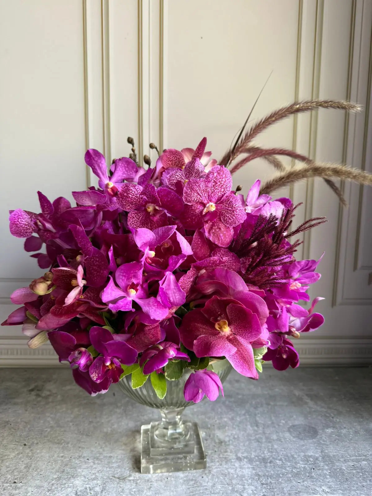 Evening Drift 1magnolialane