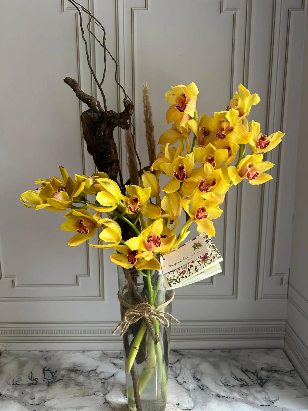 Wisdom 1magnolialane