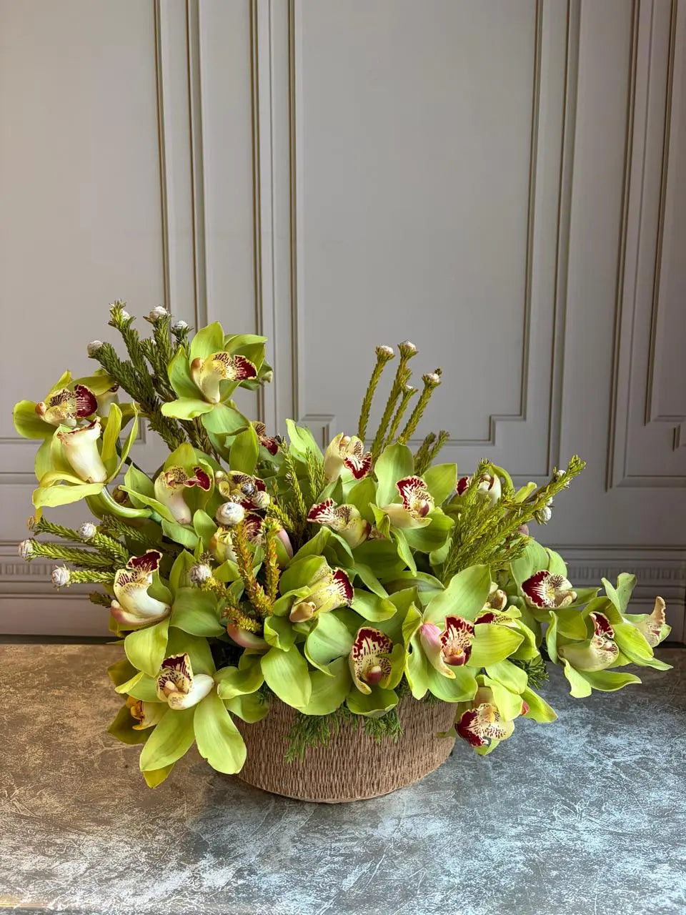 Alegría 1magnolialane