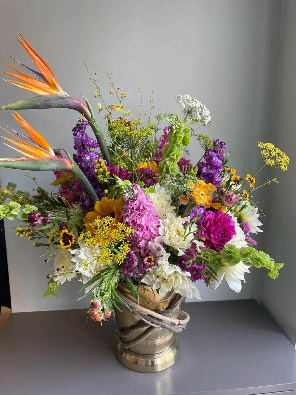 Springaroo 1magnolialane