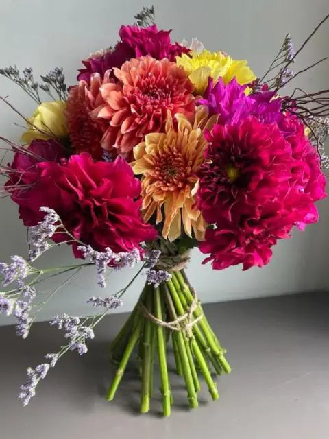 The Love Season 1magnolialane