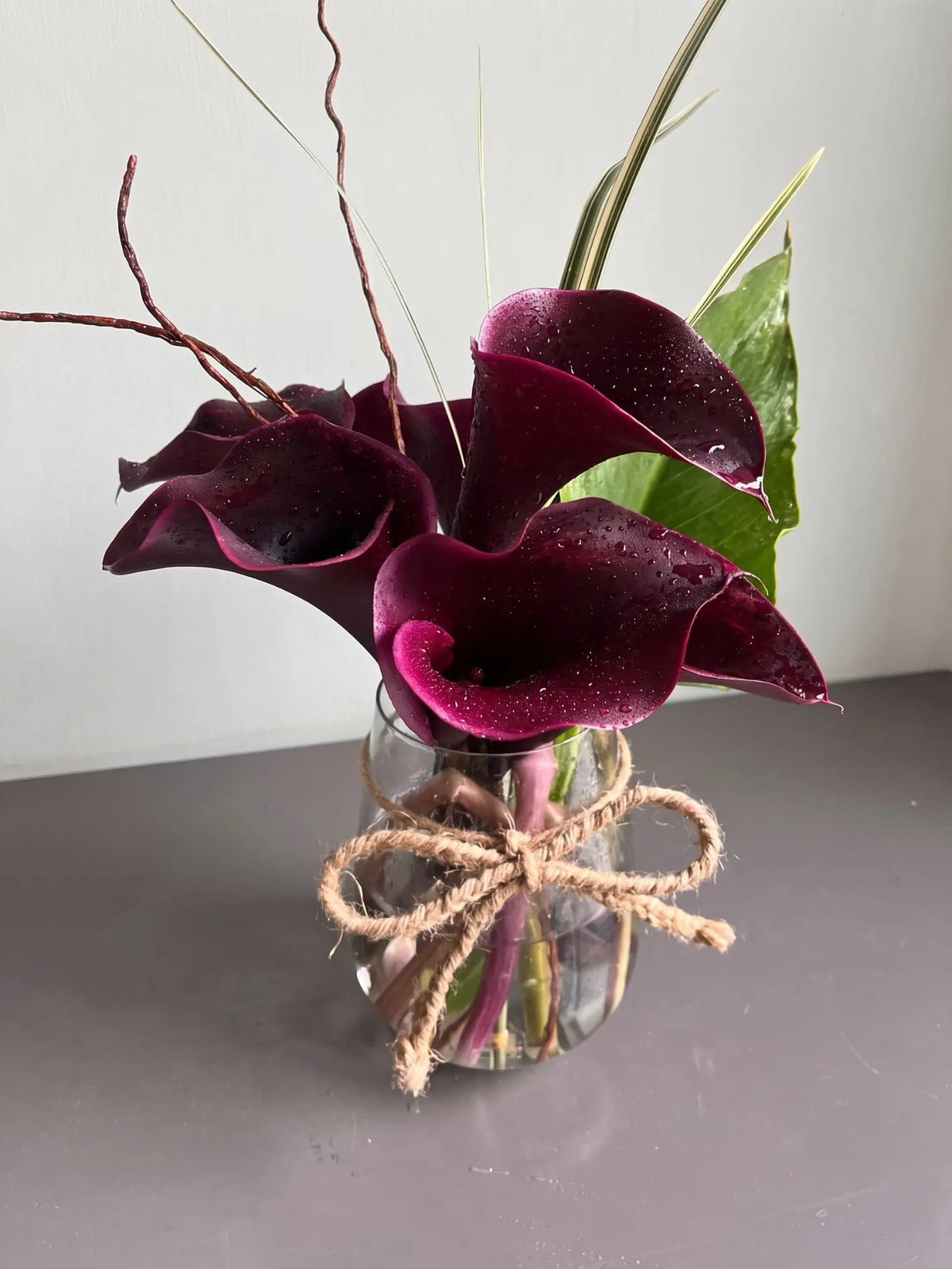 Calla Baby by 1 Magnolia Lane - image 1