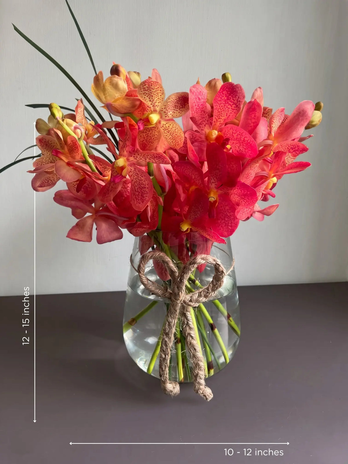 Chéri by 1 Magnolia Lane - image 2