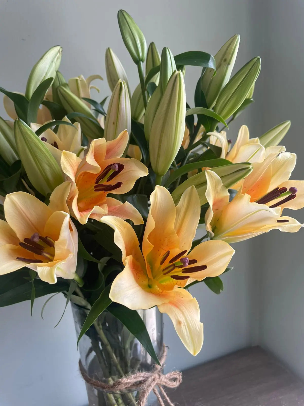 Oriental Lily 1magnolialane