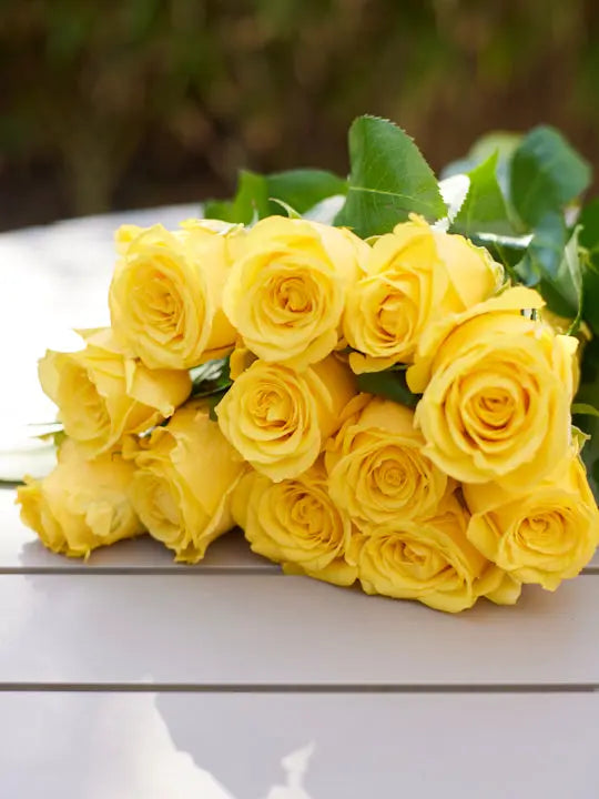 Rose 1magnolialane
