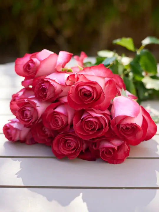 Rose 1magnolialane