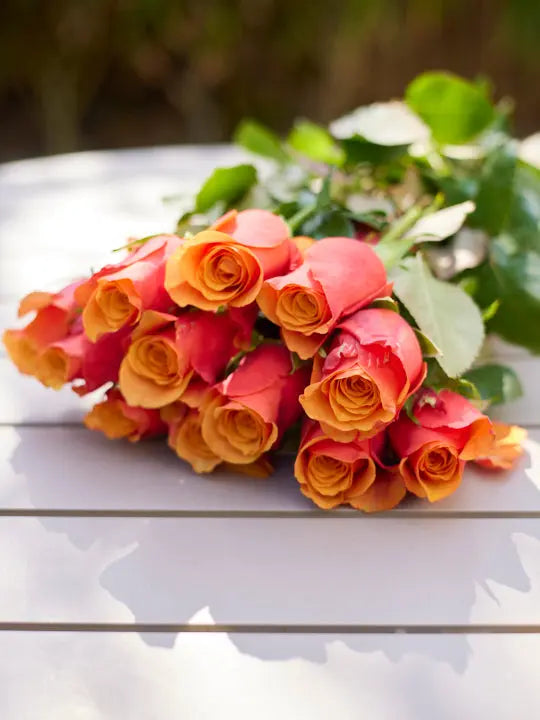 Rose 1magnolialane