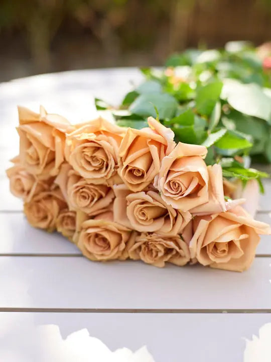Rose 1magnolialane