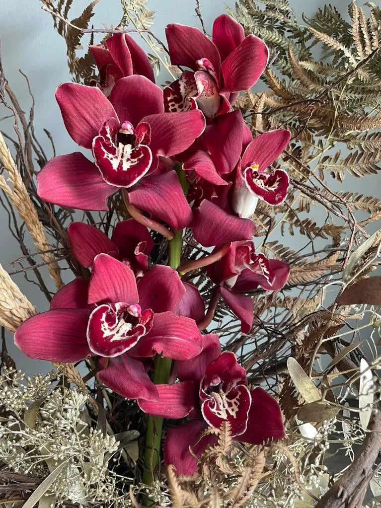 Anekantvad 1magnolialane