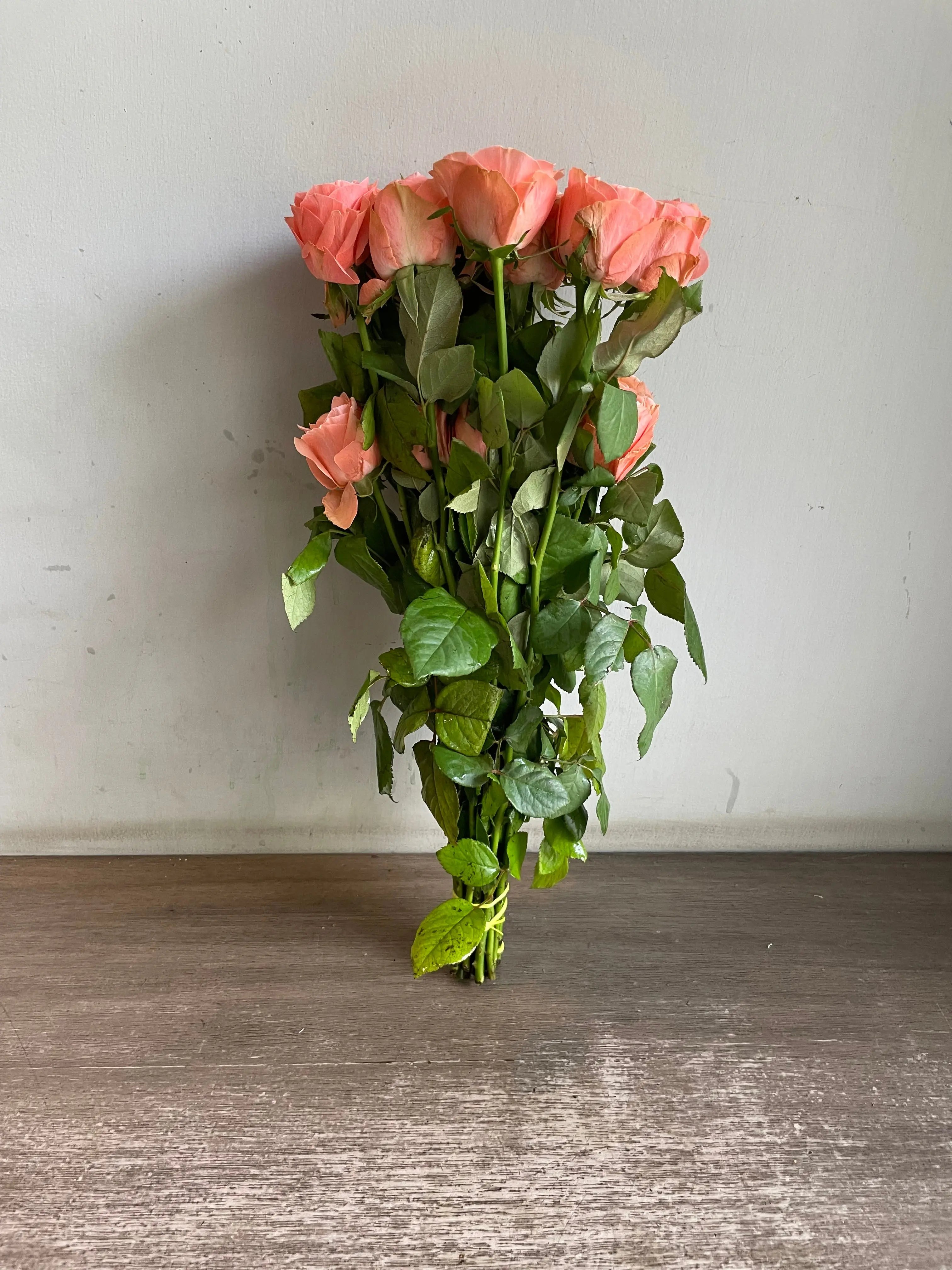 Rose 1magnolialane