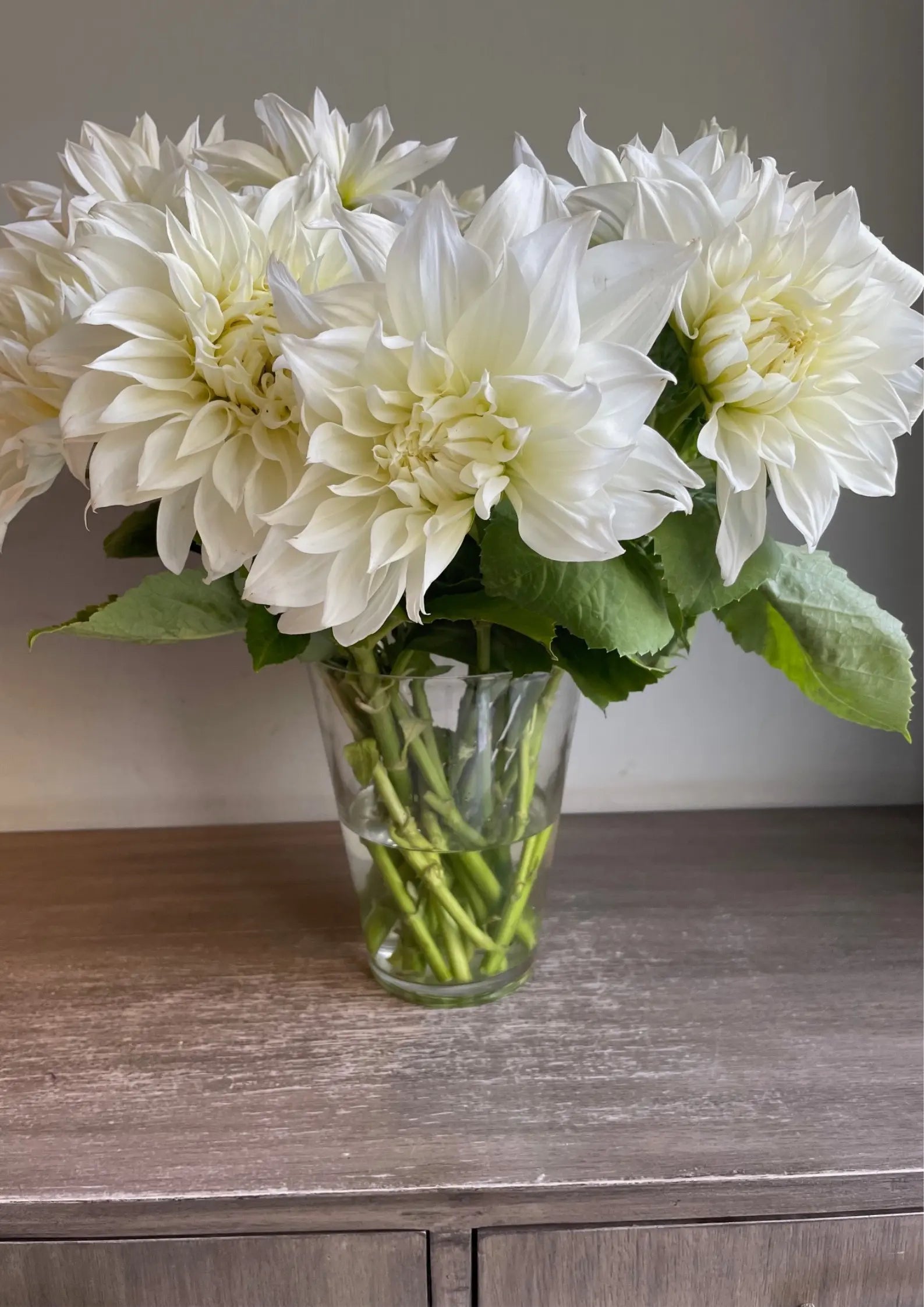 First Love 1magnolialane