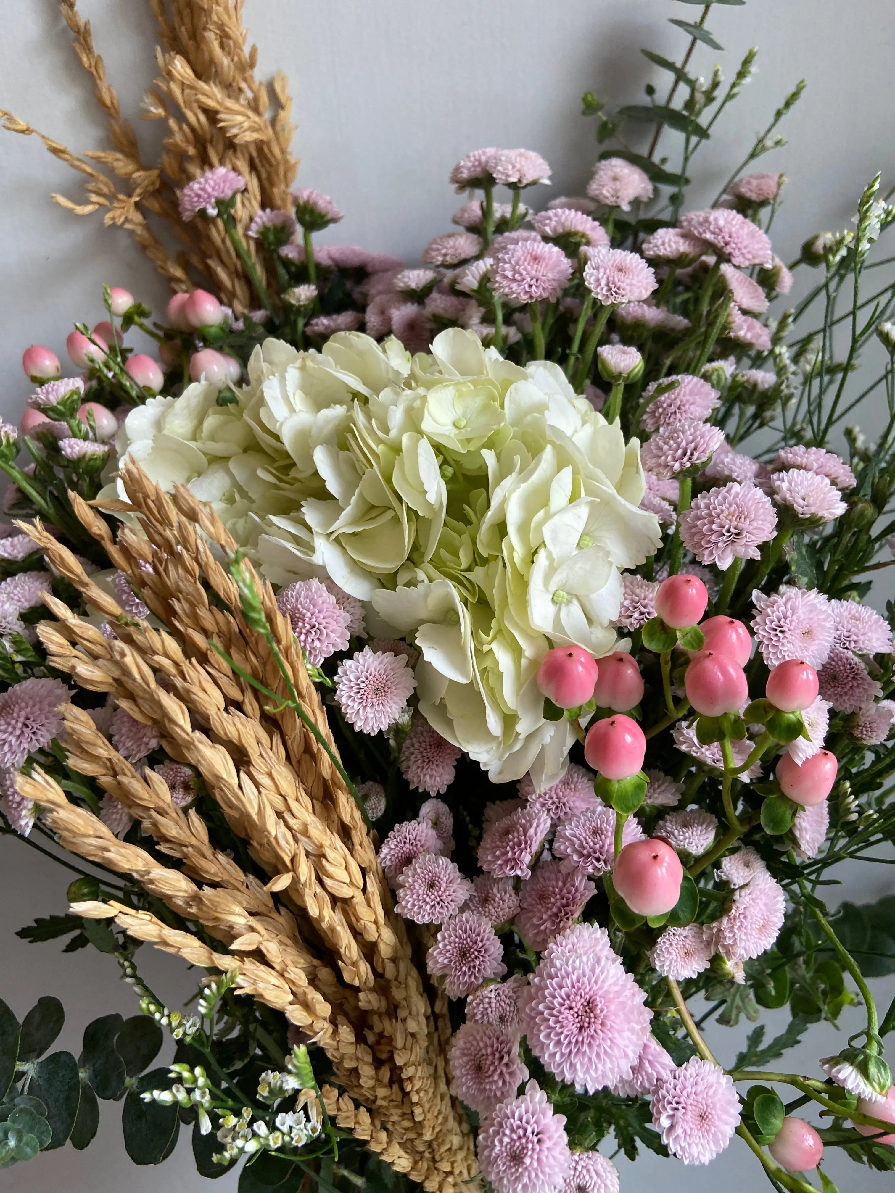 Contento 1magnolialane