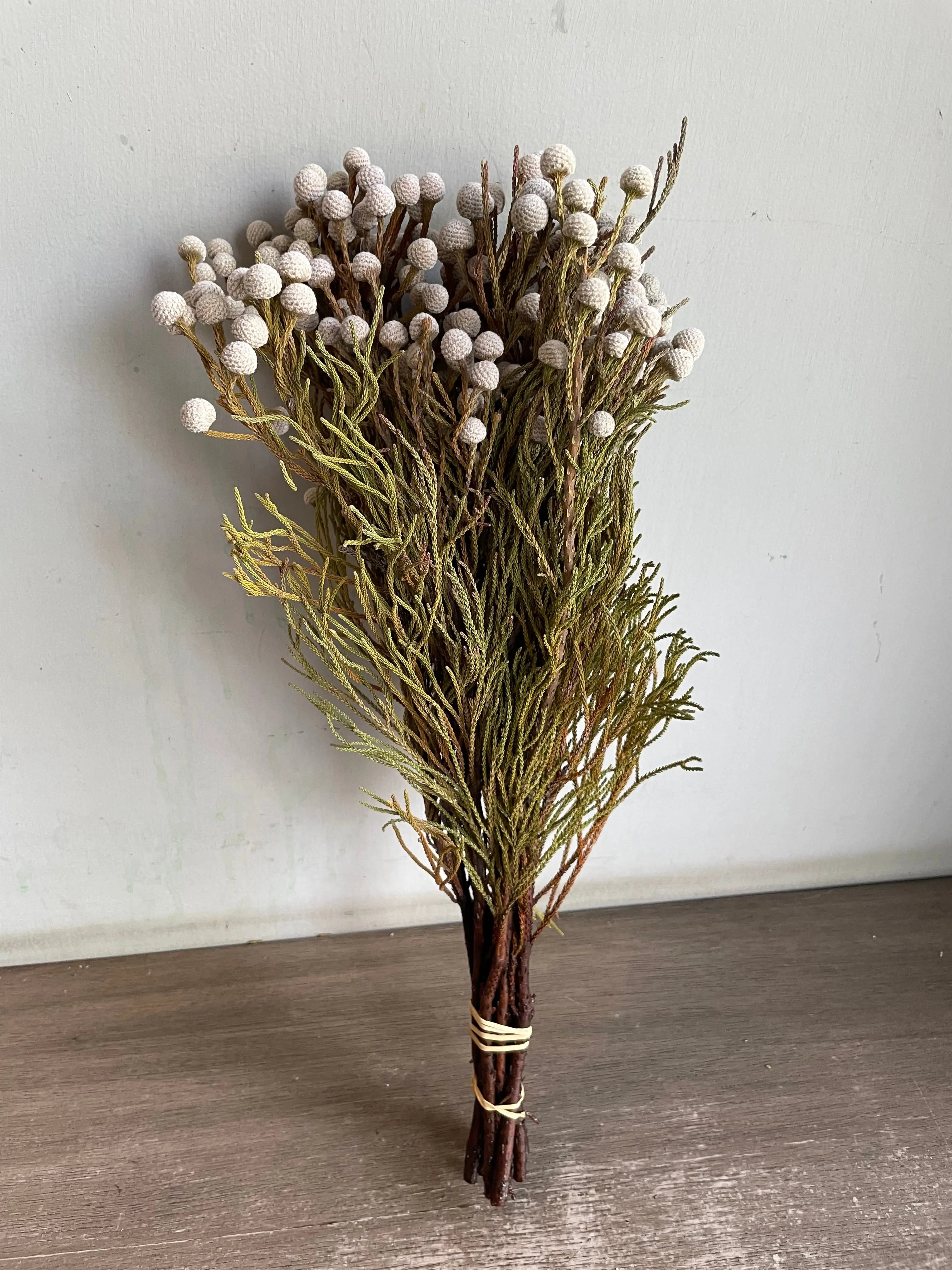 Silver Brunia 1magnolialane