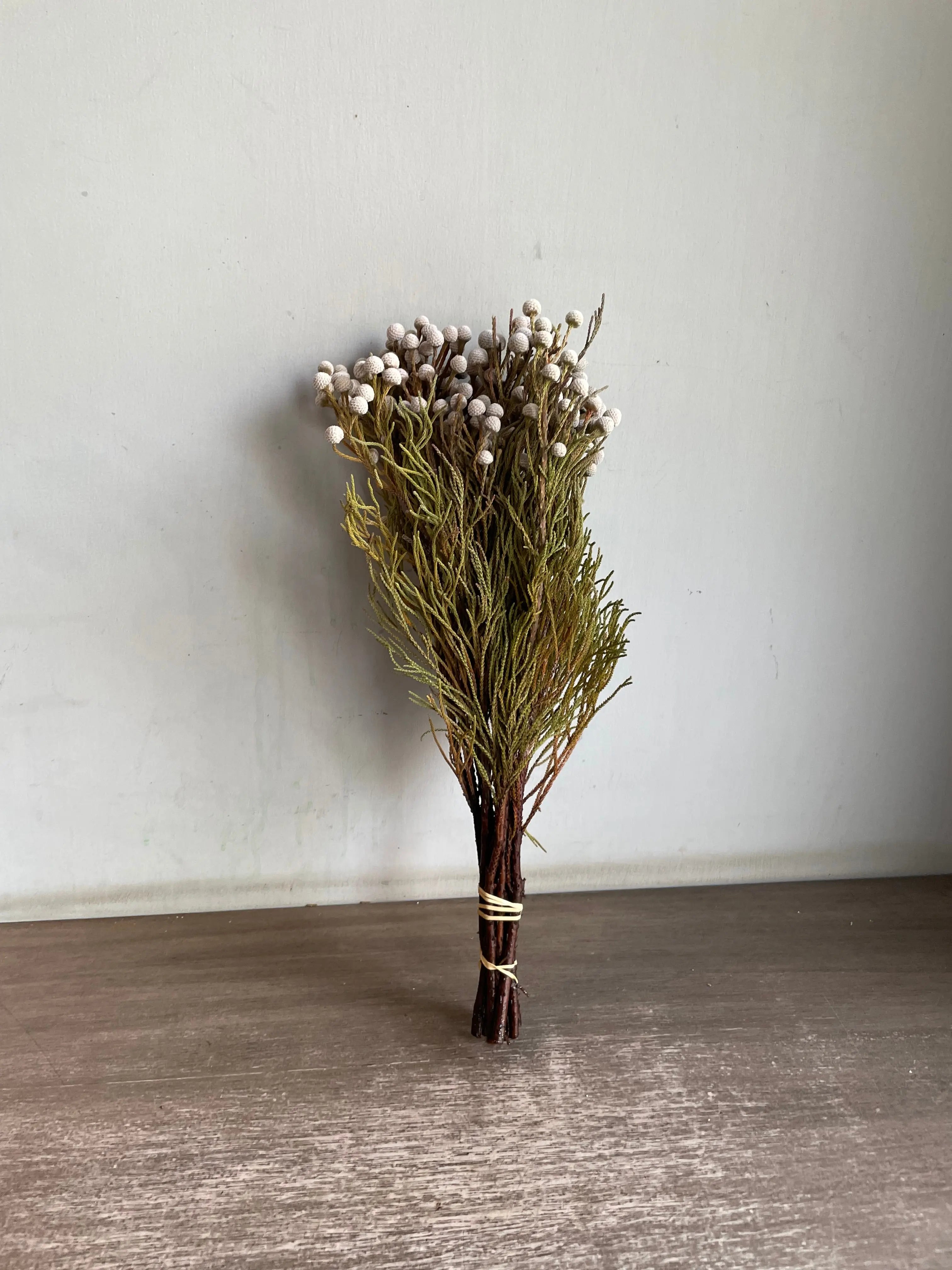 Silver Brunia 1magnolialane