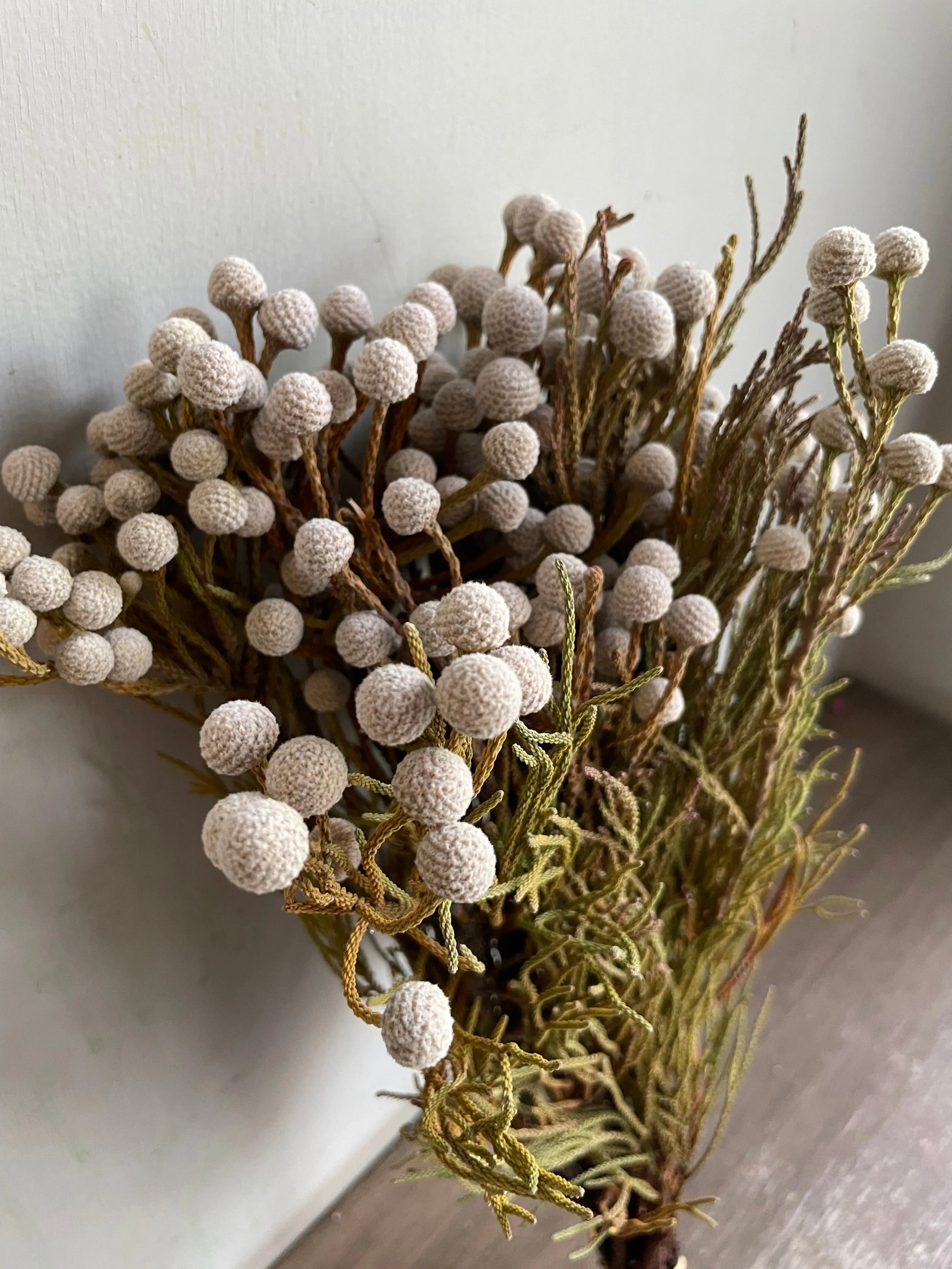 Silver Brunia 1magnolialane