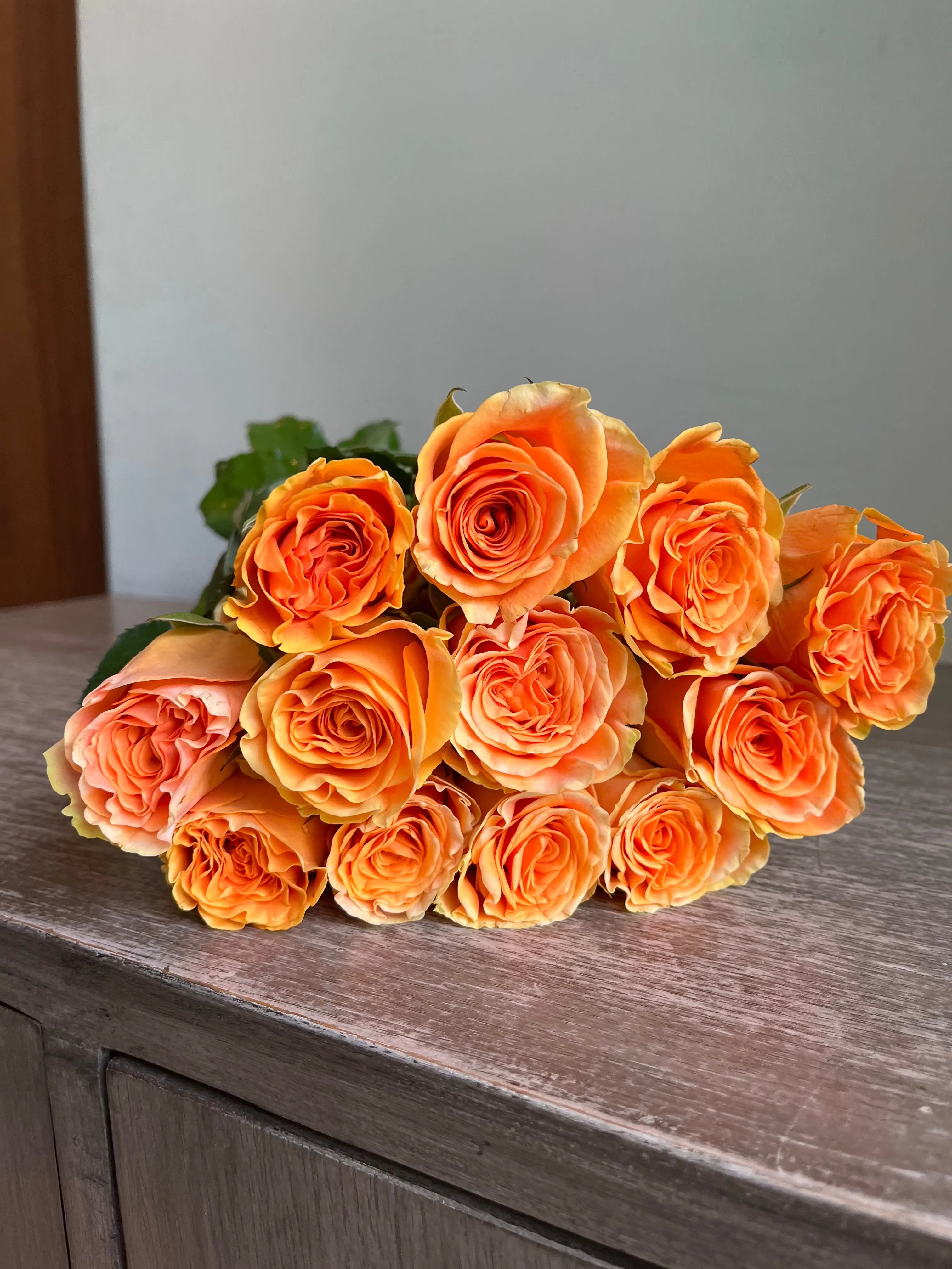 Rose 1magnolialane