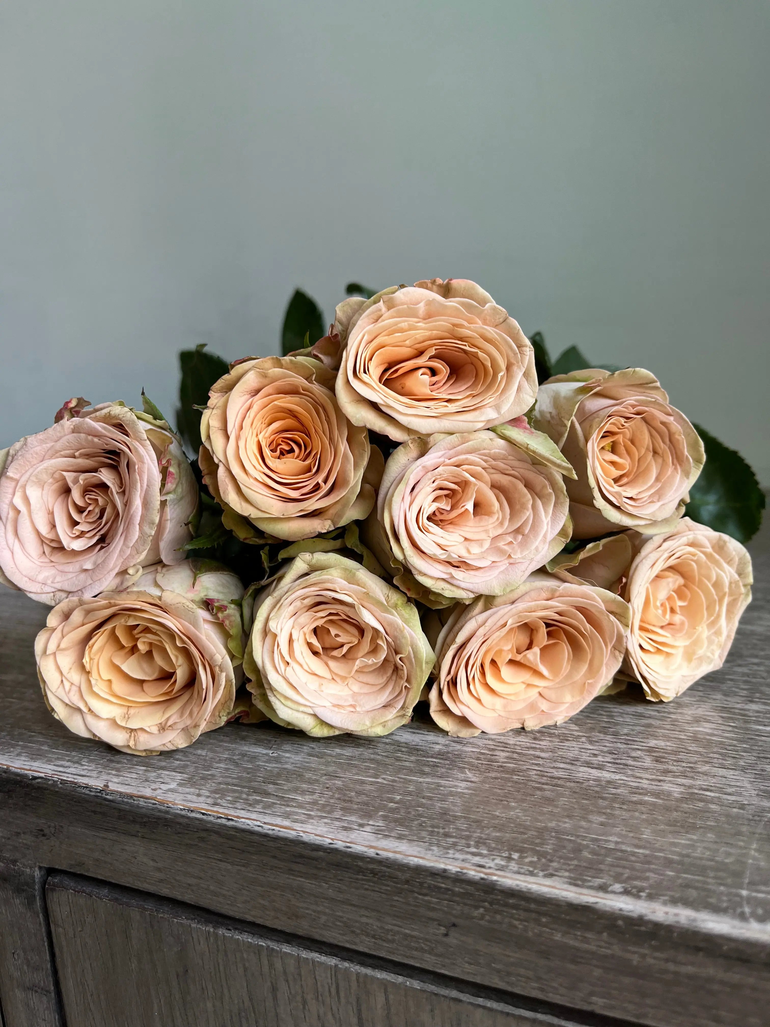 Rose 1magnolialane