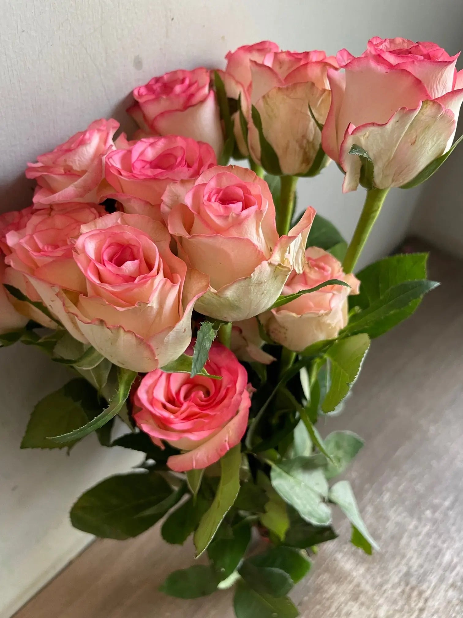 Rose 1magnolialane
